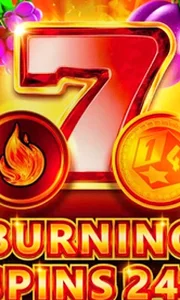 Burning Spins 243